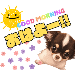 毎日使える!ワンコスタンプ①