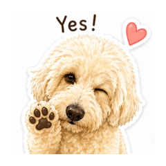 Chiko_20260424171709