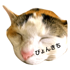 norachan!3