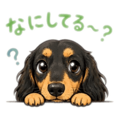 Miniature Dachsund Daily Stickers