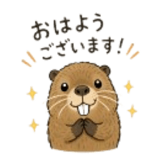 Lucky stamp_Nutria in the Kamo River