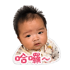 小泡芙baby