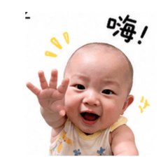 楊樂多日常❤️