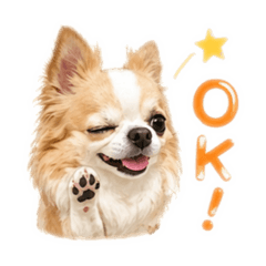 MINATO_20260426110113