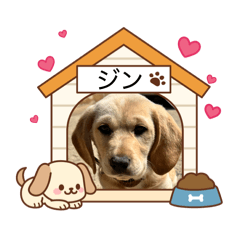 JIN factory_20260426111044