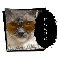 takeru_20260426111426