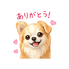 takami_20260426111410