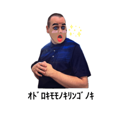 allpaca7_20260426111652