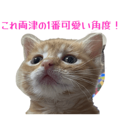 gumemen_20260426111537