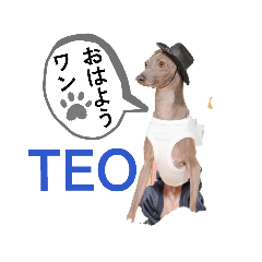 motakoKonon_20260426110902