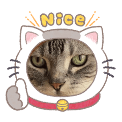 reotan_20260426133119