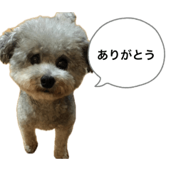 Syunsuke_20260426132624