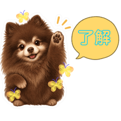 uya8840_20260426132705