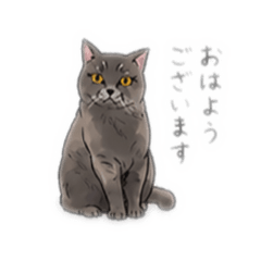 Hanako_20260426132641