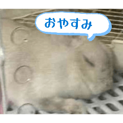 mrsosi_20260426133815