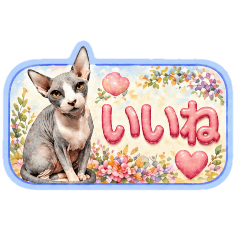 cats and dogs_20260426111310