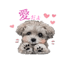 stampiiinu_20260426134247