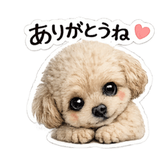 yururin_20260426133301