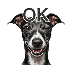 Blackangel_20260426132823