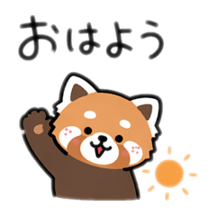 popola_20260426132912