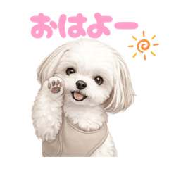 DOG STAMP ORDER_20260426170624