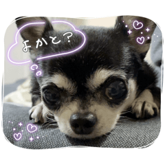 jiminosuke_20260426170622