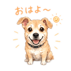 NOANN_20260426165532