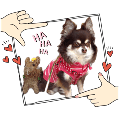 choco_20260426165725