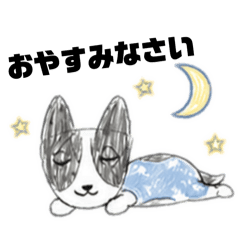 tkppa_20260426171037