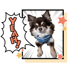 choco_20260426170454