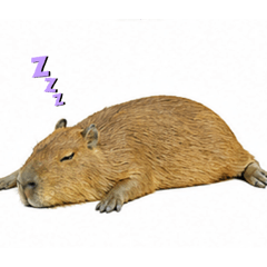 Kiyade_20260426170415