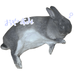 Rachel_20260426165904