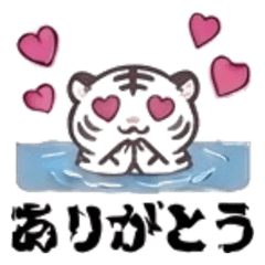 Cute White Tiger Daily Stamps