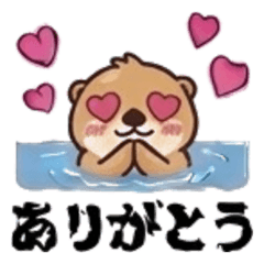 cute everyday expressions of sea otters.