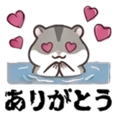 A cute Djungarian hamster.