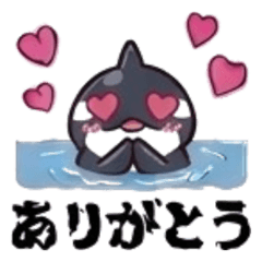 Orca's adorable daily thoughts and greet