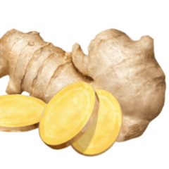 Flesh Ginger 2