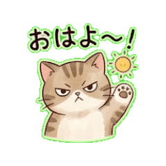 Nyankoro - Daily Chat Stickers