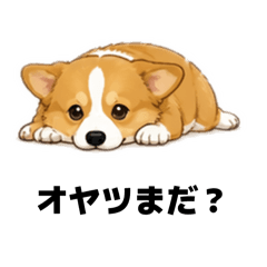 sunny_20260424180943