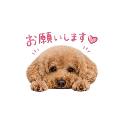 takahashifamily_20260424180325