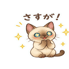 Gentle Tonkinese: Polite & Expressive