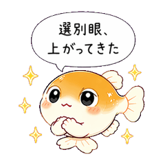 Life of a Medaka Breeder