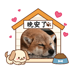 漢堡柴犬