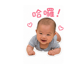 可愛芯亞貼圖上架囉，日常療癒瞬間全都有！