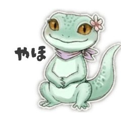 Shelly_20260426173738