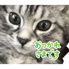 HAPPY KEY_20260426173822