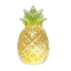 anhringi_20260426154855