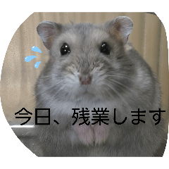 yukina_20260426174510