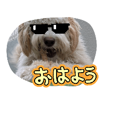 h7676761_20260426175008