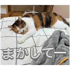 akari_20260426175141